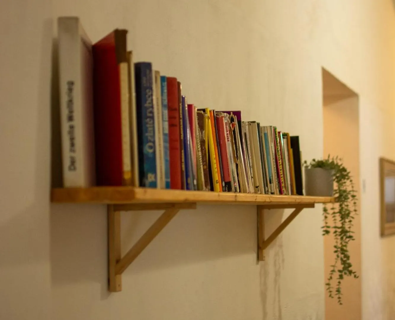 Hostel Moravia Ostrawa Hotel